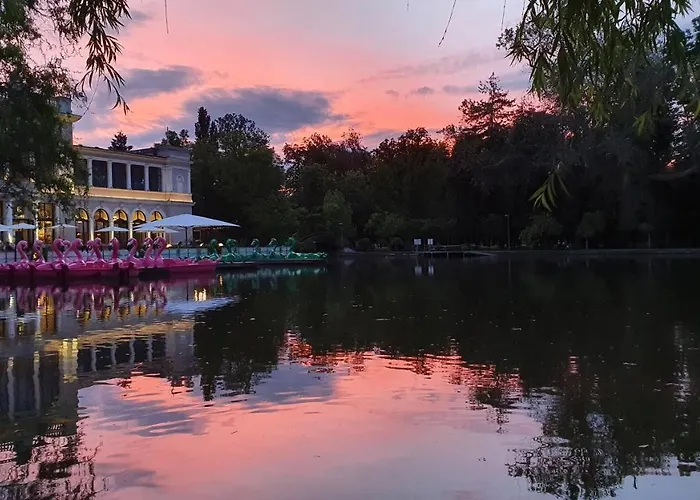 Διαμέρισμα Traian - *